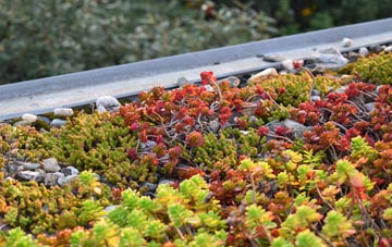the cost of Kirkurd green roof installation