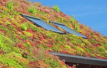 Kirkurd living roof systems